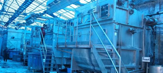Dyeing (4)