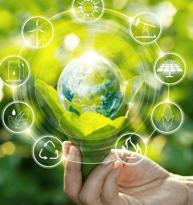 Sustainability principals
